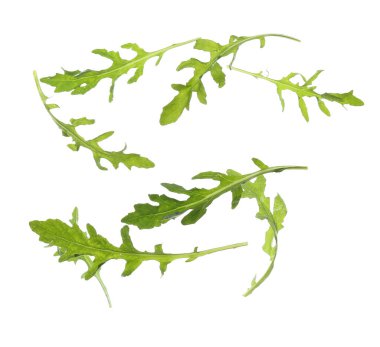 Uçan taze roka yaprakları beyaz arkaplanda