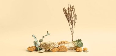 Renkli arkaplanda dekoratif taş podyumları ve kurumuş bitkilerle kompozisyon