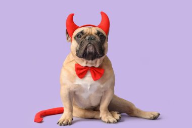 Cadılar Bayramı 'nda tatlı Fransız buldoğu mor arka planda oturan şeytan boynuzları.