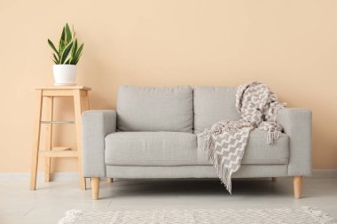 Oturma odasının içinde kanepe ve çiçek var.