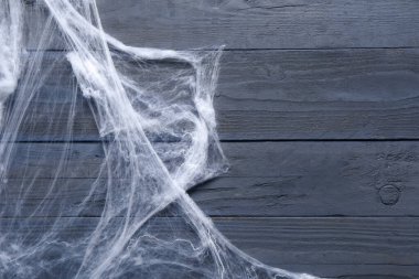 Mavi ahşap arka planda örümcek ağı. Cadılar Bayramı