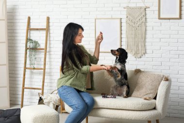 Bayan köpek bakıcısı evcil hayvanı eğitiyor.