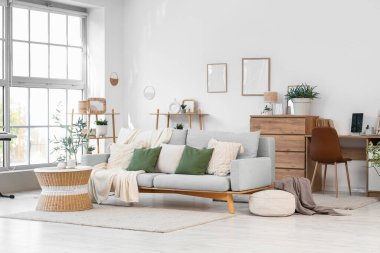 Gri kanepesi, kahve masası ve zeytin ağacı olan şık bir oturma odası.