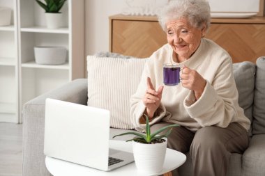 Oturma odasındaki kanepede oturan cam bardak bezelye çiçeği çayı ve dizüstü bilgisayarlı yaşlı kadın.