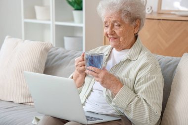 Oturma odasındaki kanepede oturan cam bardak bezelye çiçeği çayı ve dizüstü bilgisayarlı yaşlı kadın.