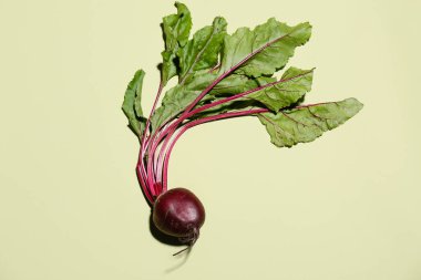 Yeşil arka planda taze pancar kökü