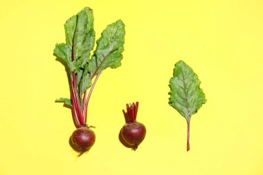 Sarı arka planda taze pancar kökleri