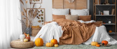 Yatak odasının içinde raf ünitesi, otlar ve balkabakları var.