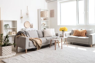 Rahat koltuklar, raf ünitesi ve vazo hafif oturma odasında narsisli çiçekler.