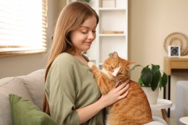 Evdeki kanepede oturan tatlı kırmızı kedili genç kadın.