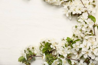 Beyaz ahşap arka planda çiçek açan güzel dallar.