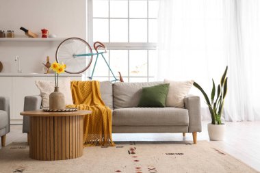 Gri koltukları, kahve masası ve bisikleti olan şık bir oturma odası.