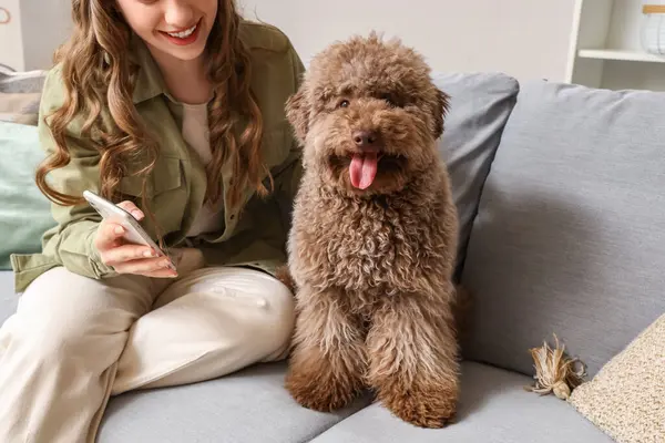 Evdeki kanepede cep telefonu ve sevimli bir kanişi olan genç bir kadın.