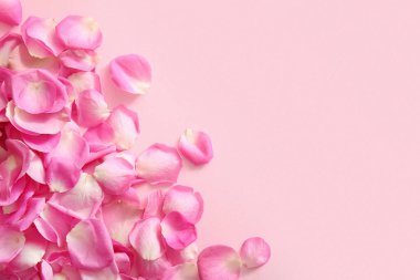 Pembe arka planda bir sürü güzel gül yaprağı