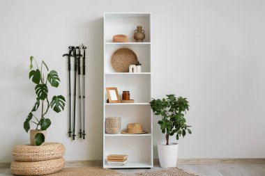 Odanın içinde İskandinav yürüyüş direkleri, palmiye bitkisi ve raf ünitesi var.