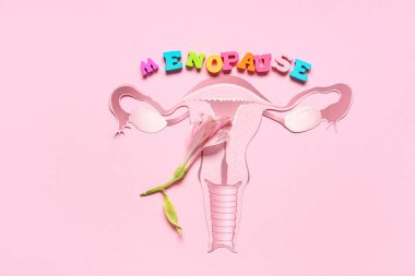 Kağıt uterusu ve pembe arka planda çiçeği olan sözcük MENOPAUSE