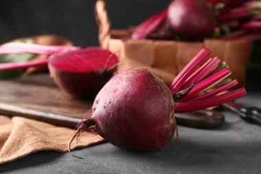 Siyah arka planda taze pancar kökleri