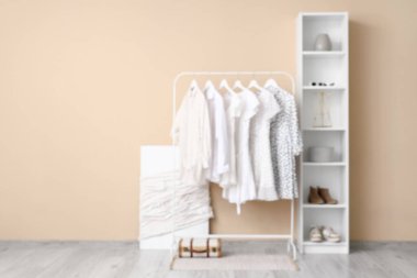 Kadın kıyafetleri ve aksesuarları olan modern bir oda.