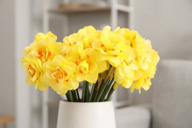 Oturma odasında nergis çiçeği olan bir vazo.