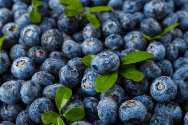 Tatlı taze yaban mersini dokusu ve arka plan olarak yapraklar