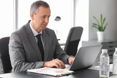 Ofiste dizüstü bilgisayarla çalışan yakışıklı bir iş adamının portresi.