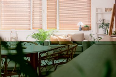 Kanepesi, yemek masası ve çiçekleri olan şık bir açık uzay mutfağı.