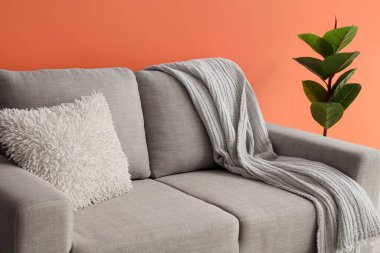 Oturma odasının iç tarafında konforlu bej kanepe ve çiçek, yakın plan.