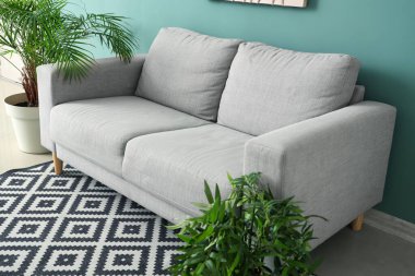 Oturma odasının iç tarafında rahat gri kanepe ve bitkiler, yakın çekim.