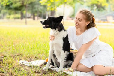Parkta piknikte şirin bir Collie köpeği olan güzel bir genç kadın.