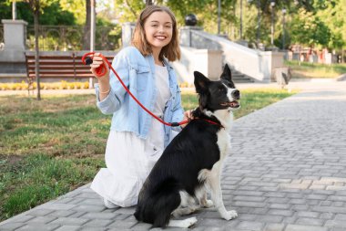 Parktaki Collie köpeğinin tasmasını ayarlayan genç ve güzel bir kadın.
