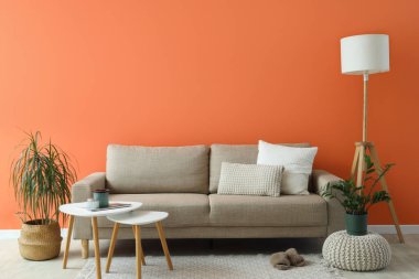Kahve sehpası, standart lamba ve turuncu duvarın yanındaki bitki örtüsü olan şık gri kanepe.