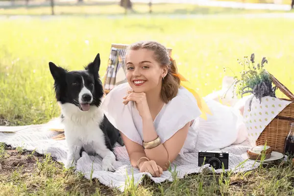 Parkta piknikte şirin bir Collie köpeği olan güzel bir genç kadın.