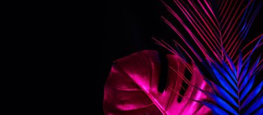 Siyah arkaplanda, metin için alanı olan neon tropikal yapraklar