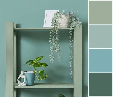 Ev bitkileri ve nane duvarının yanında süslemeleri olan raf ünitesi. Farklı renk desenleri