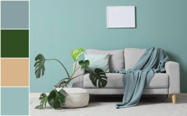 Oturma odasının içinde kanepe, puf ve nane duvarının yanında saksı var. Farklı renk desenleri