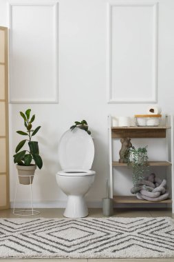 İçinde seramik klozet, raf ünitesi ve ev bitkileri olan ışık tuvaleti.