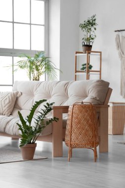 Rahat kanepesi, çiçekleri ve raf ünitesi olan modern oturma odasının içinde.