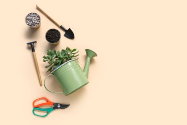 Lezzetli, bahçe aletleri ve bej arka planda toprak ve taşlar olan tencereler. Üst görünüm