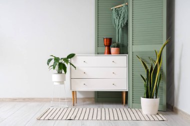 Beyaz sandıkta ev bitkileri, davul ve yeşil katlanır ekran beyaz duvarın yanında