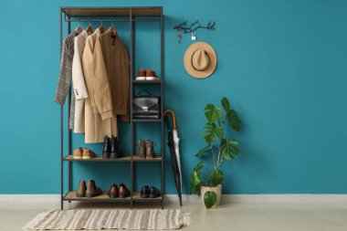 Mavi duvarda raf ünitesi, ev bitkisi ve anahtar taşıyıcısı olan şık bir salonun içinde.