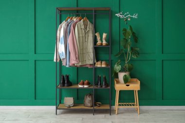 Yeşil duvarda raf ünitesi, ev bitkisi ve anahtar taşıyıcısı olan şık bir salonun içinde.