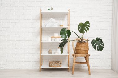 Ev bitkisi ve raflarda rulo tuvalet kağıdı olan şık bir banyo.