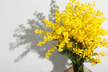 Beyaz arka planda mimoza çiçekli vazo