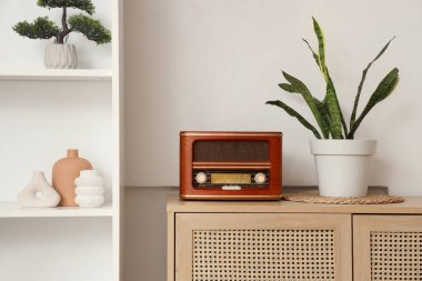 Raflar, ahşap dolap, dekor, radyo alıcısı ve beyaz duvarın yanındaki ev bitkisi.
