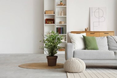 Gri kanepeli, puf ve raf üniteli şık bir oturma odası.