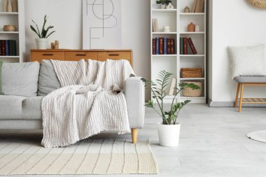 Gri kanepesi, saksısı ve raf ünitesi olan şık bir oturma odası.