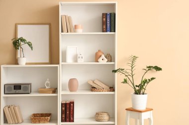 Bej duvarın yanında kitap, dekor ve çiçek rafları