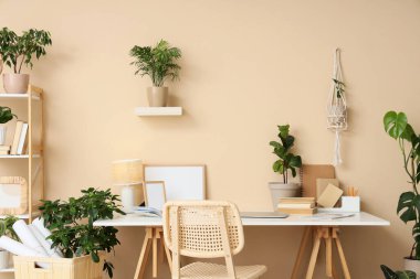 Rahat çalışma alanı, kitapları, modern dizüstü bilgisayarı ve ev bitkileriyle şık bir ofis.