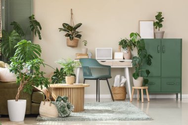 Rahat çalışma alanı, kabine, modern dizüstü bilgisayar ve ev bitkilerine sahip ışık ofisinin içi