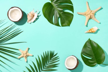 Hindistan cevizinden, deniz kabuklarından ve turkuaz arka planda tropikal yapraklardan yapılmış çerçeve